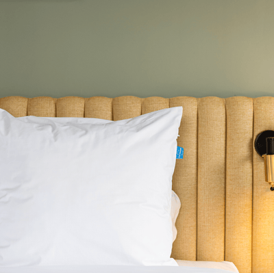 Housses d'oreiller anti-acariens