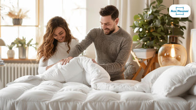 Quelle housse anti-punaises de lit choisir 