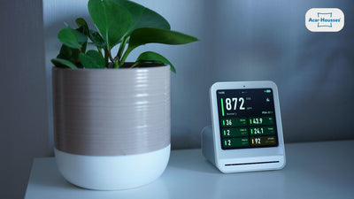 Capteur de qualité de l'air intérieur posé à côté d'une plante, mesure de l'humidité et du CO2 au domicile